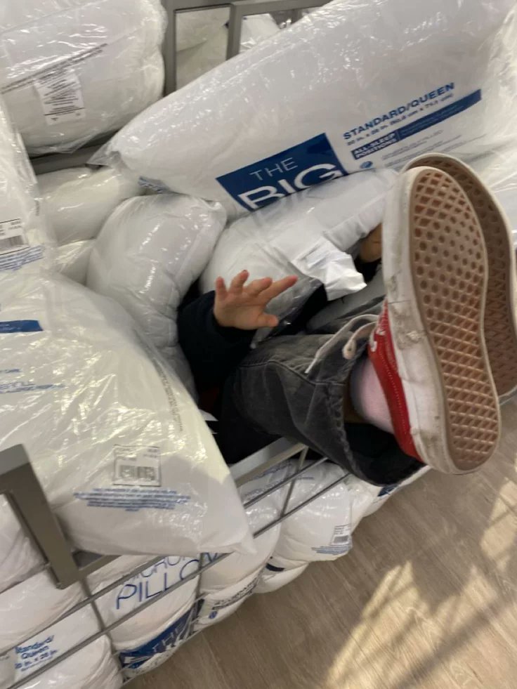 Ardentia_Amor's tweet image. ꒰ 🗡🐰 ꒱  ⋮  #Sharplow #socmedau/#socmed concept

In which 🗡 is a student council president who's sick and tired of 🐰 daily pranks on him, aka 🐰 is a well known prankster throughout the campus of their school and his number one target is the council president 🗡