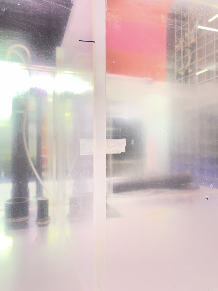 水槽屋 tweet media
