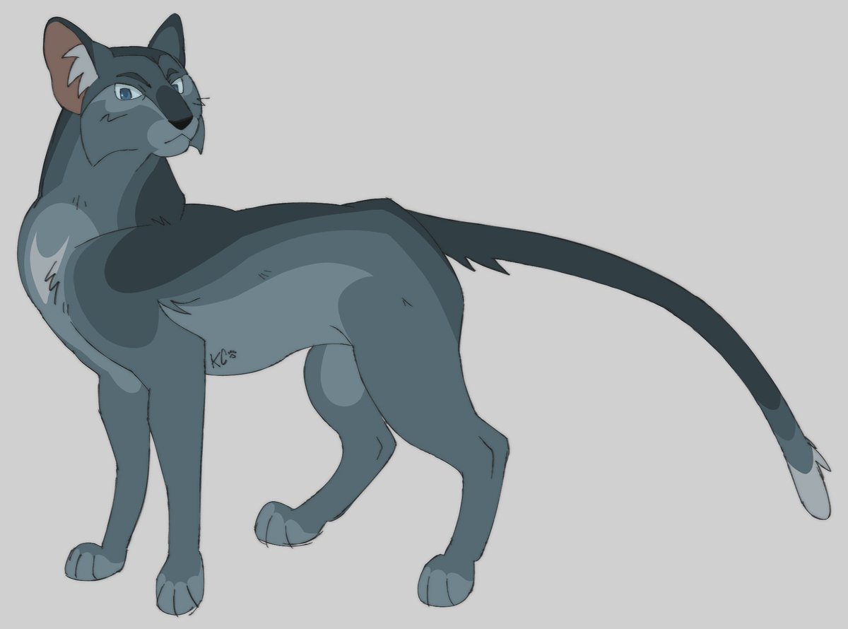 kittyclawzzz777's tweet photo. my stormtail take. tried to make the kids look like their folks!
#warriors, #warriorcats, #wcfanart, #stormtail. https://t.co/XZZ2eV5nGs