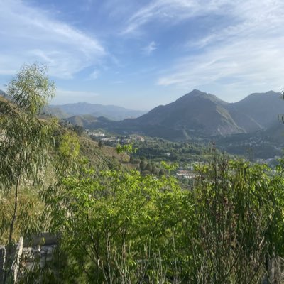 Waseem Afzal tweet media