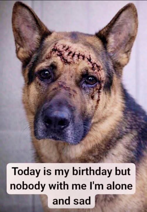 Sadiafatma tweet media