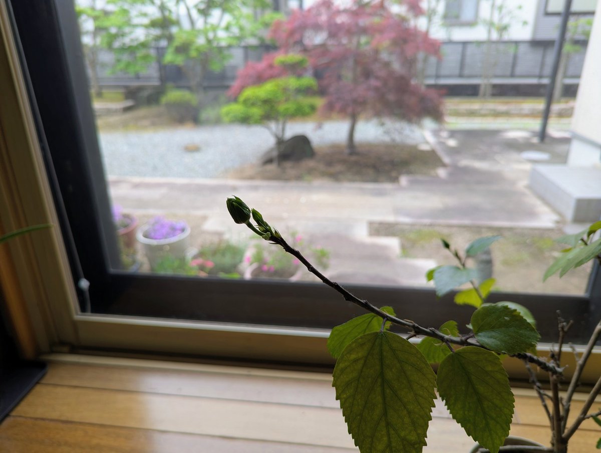 菜っピー tweet media