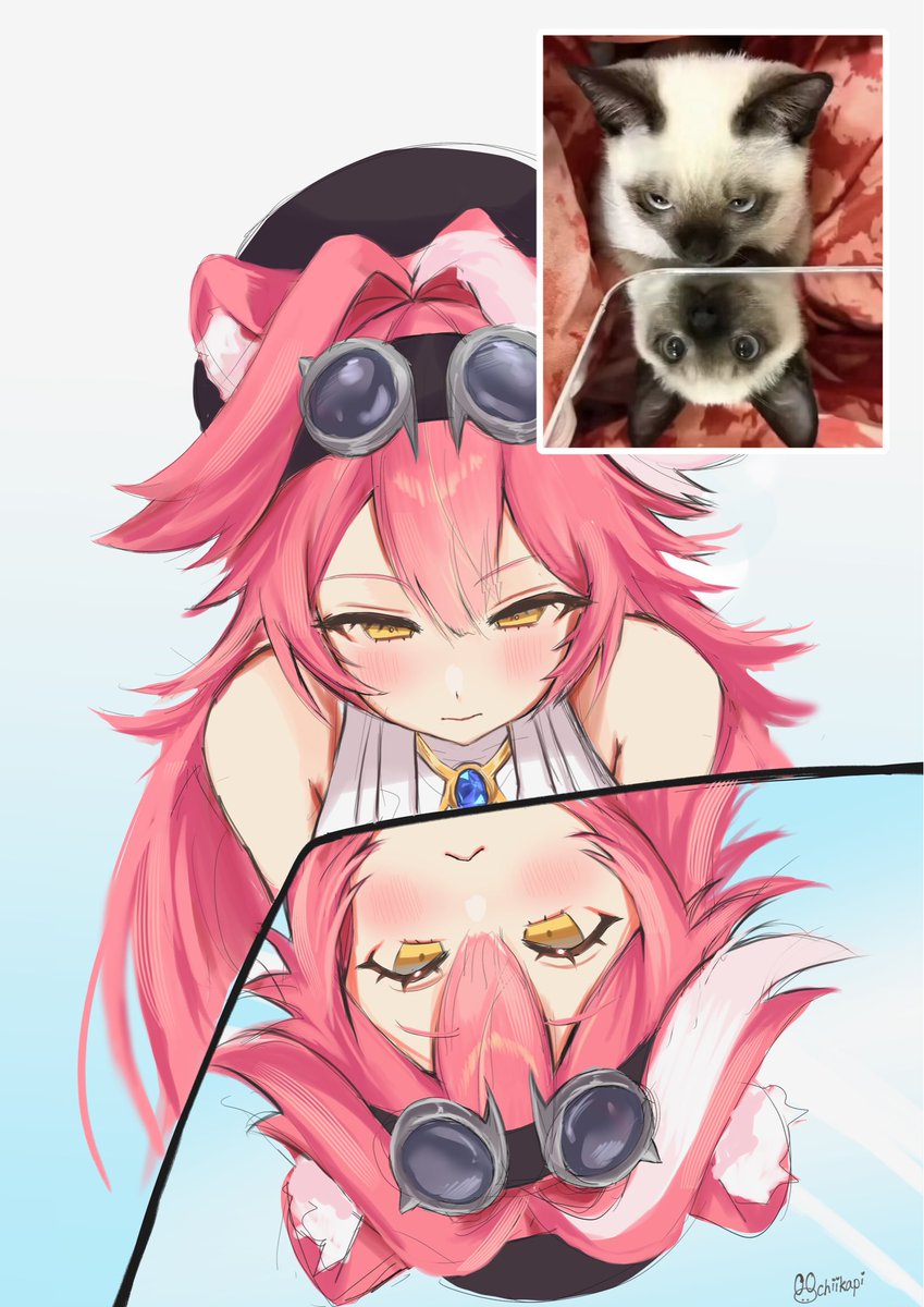 chiikapi🍮 tweet media