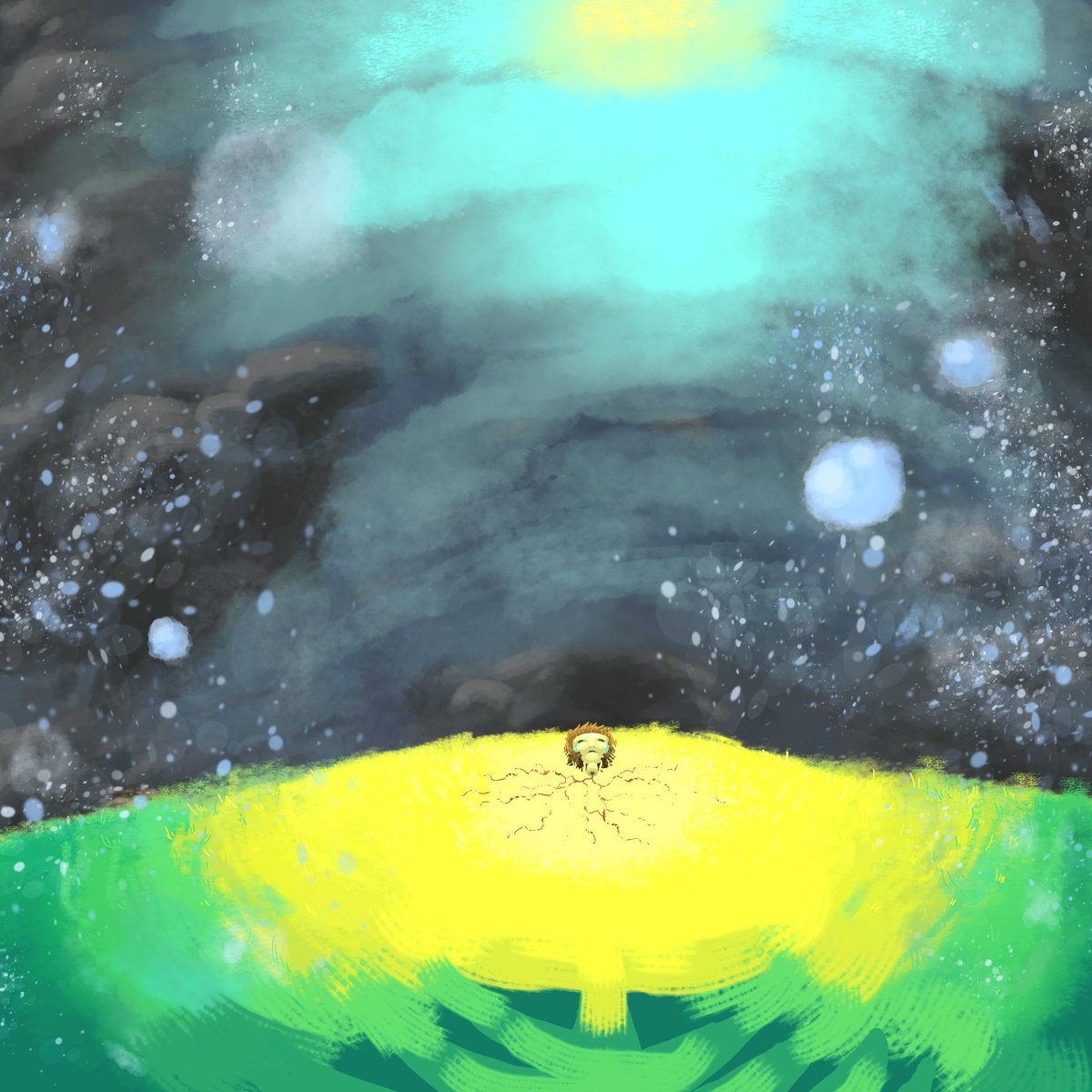 Mike Mise tweet media