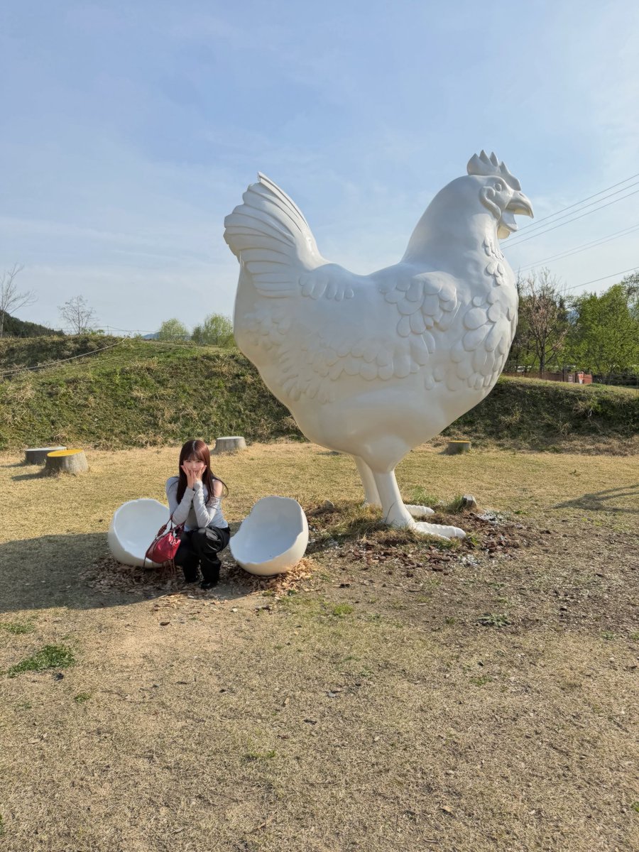 照山 楓香 tweet media