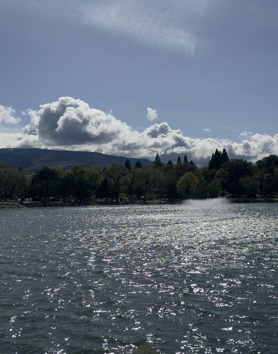 دویدن کنار این دریاچه و غازها و جوجه‌هاشون خیلی حال میده. پر از اردک و غاز و کبوتره، باید هر چند قدم وایستی اینا رد بشن!
گوگولیای خوشکل🦆🐥🍃