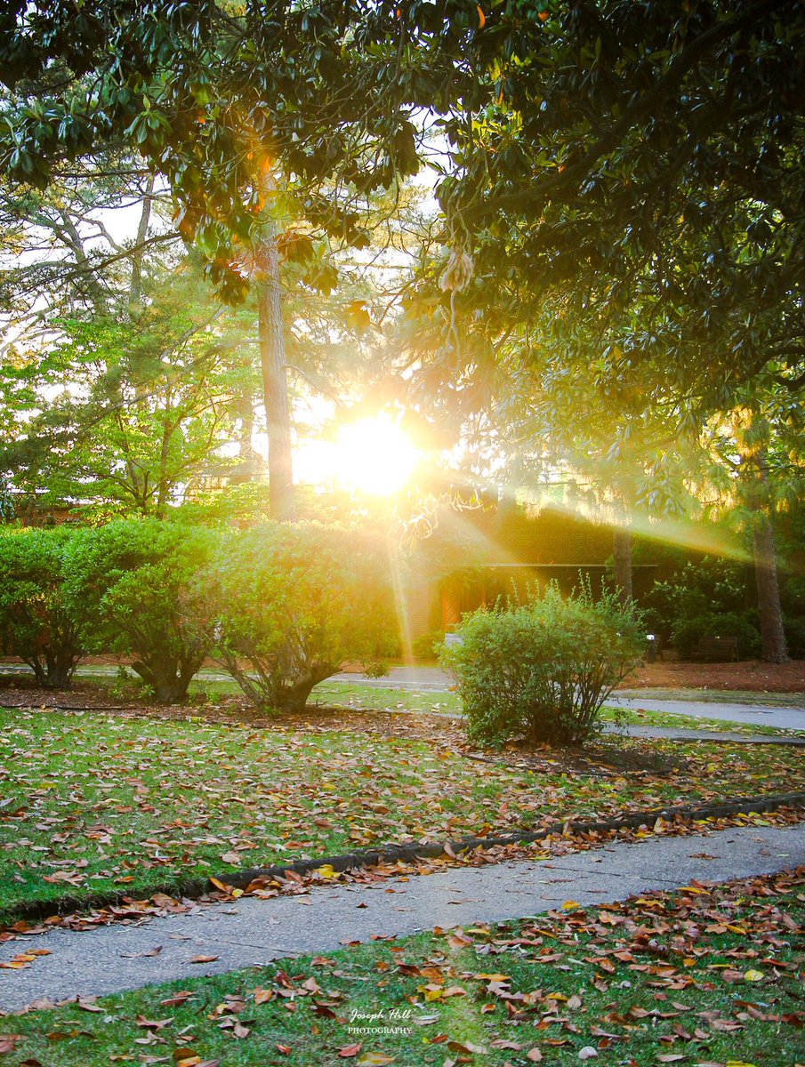 JosephHill3794's tweet image. Sunset☀️🌳
#April2026
Photo By: Joseph Hill🙂📸☀️

#sunset #evening #nature #trees #sidewalk #sunlight #spring #beautiful #peaceful #daytime #sunsetphotography #NaturePhotography #SouthernPinesNC #April