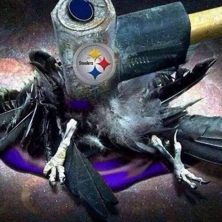 Dominic Arcaroli tweet media