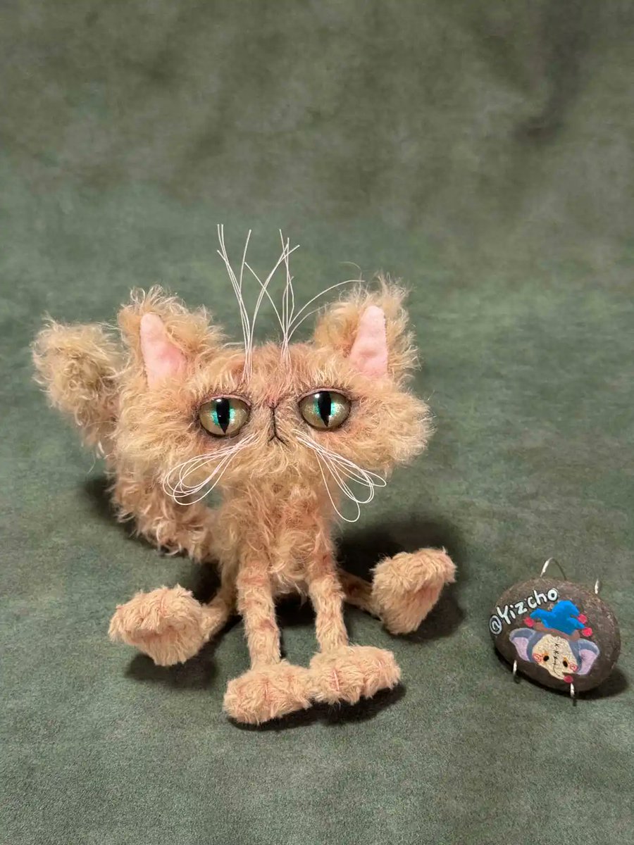 playmorphx's tweet image. Still sleepy but dragged out for a photo shoot! 😬📸

Original skeleton doll, fully poseable. Every detail is handmade with love. Copyright protected, please do not copy! 🚫

#ArtDoll #HandmadeDoll #Handcrafted #CatLover #ToyArtist #HandmadeWithLove