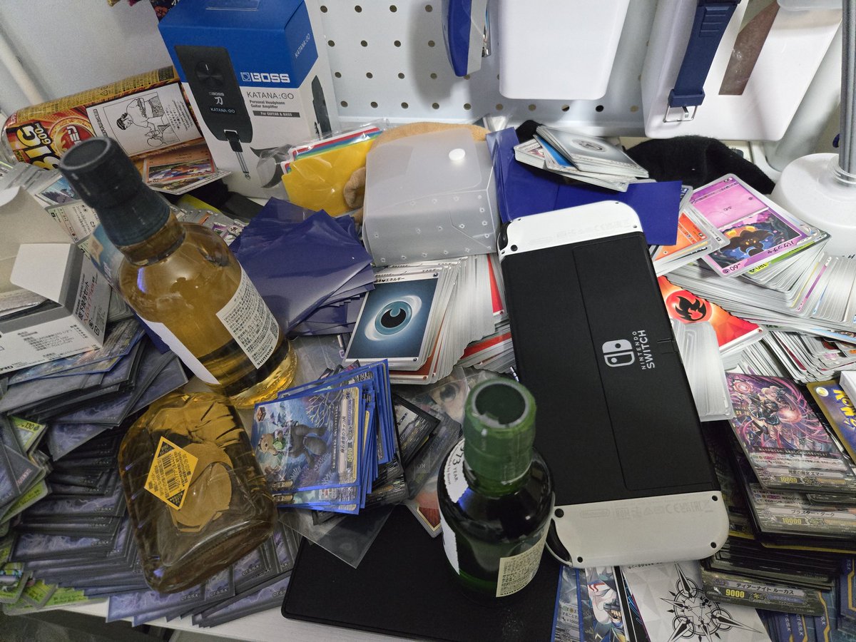 茉莉ちゃん🐱☀ tweet media