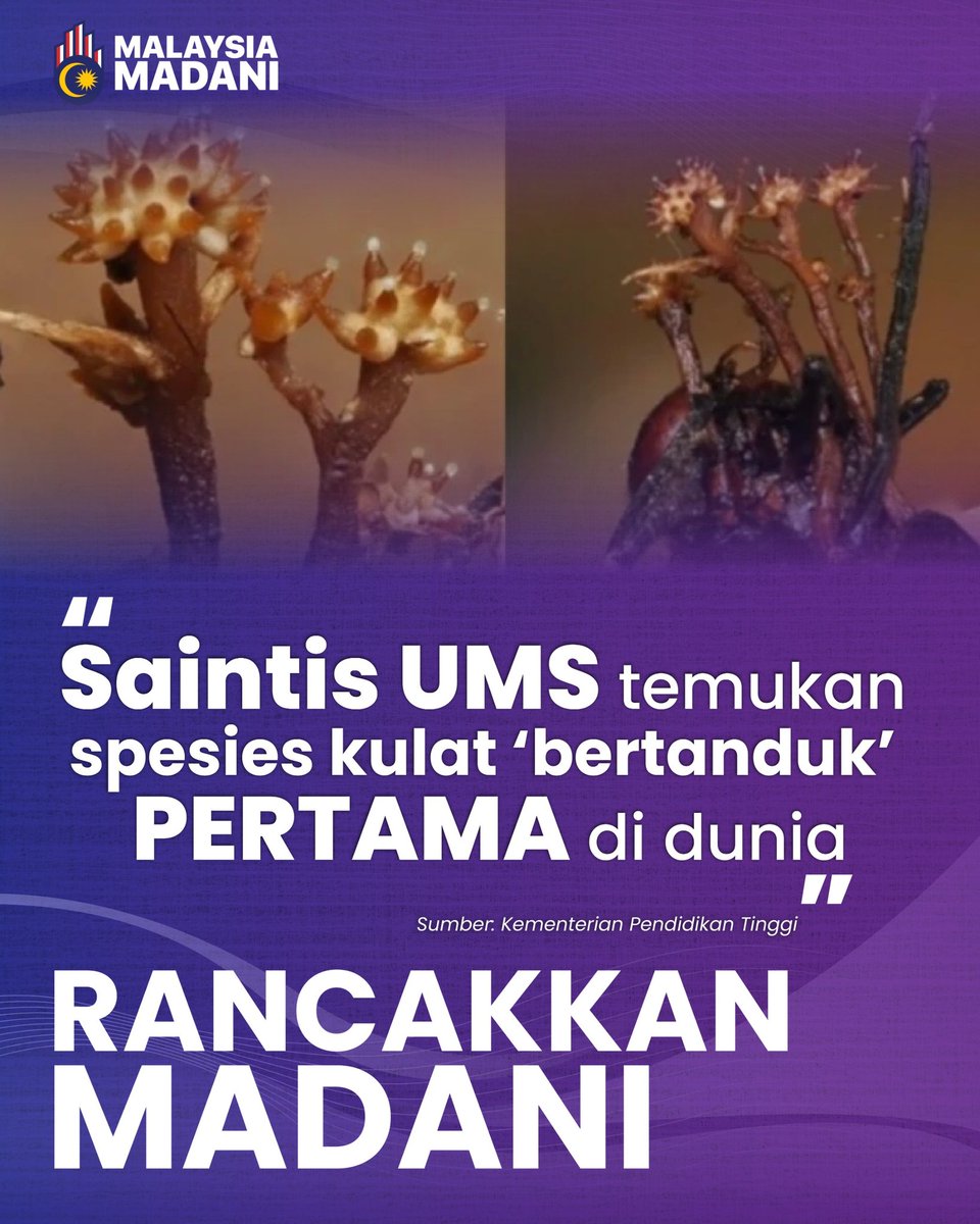Kementerian Pendidikan Tinggi tweet media