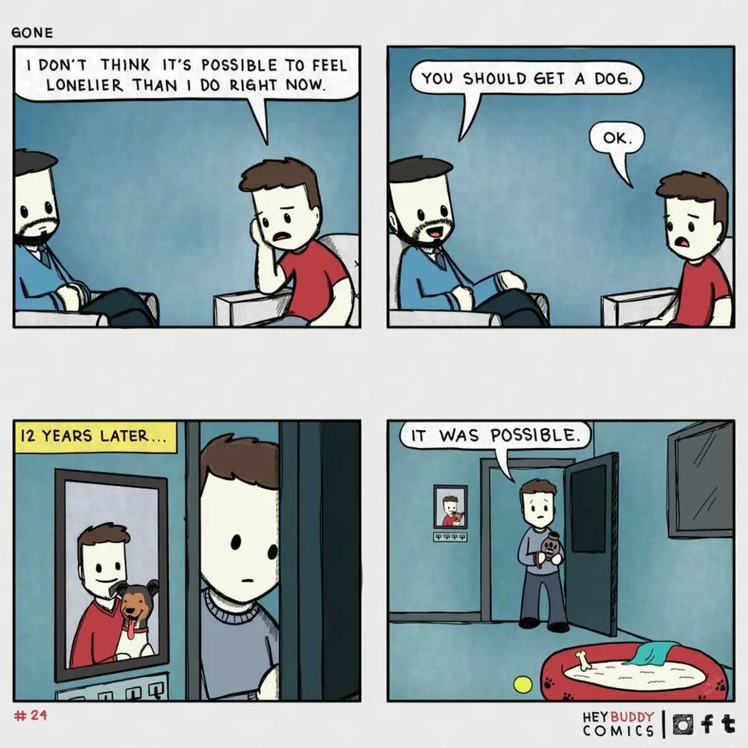 Willmeme tweet media