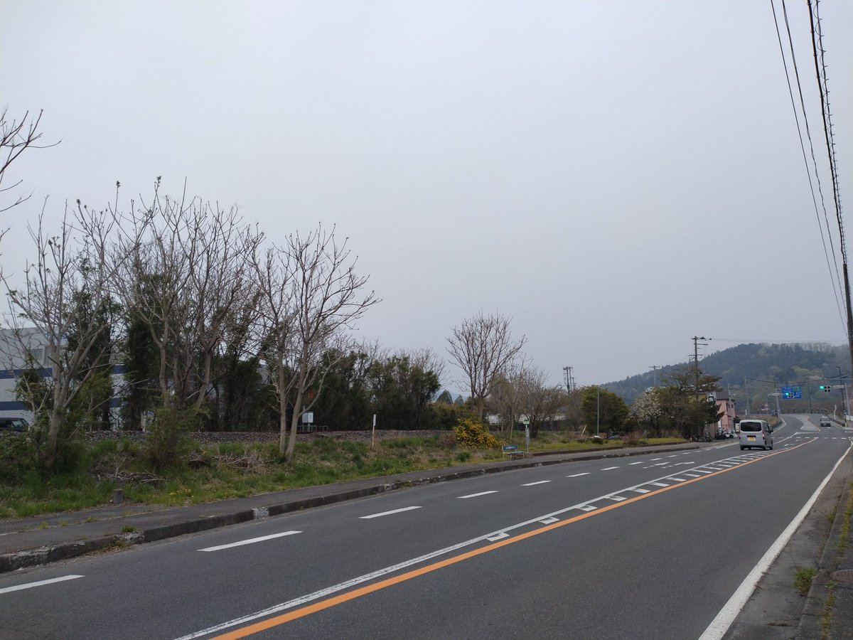 白髪黒長候 tweet media