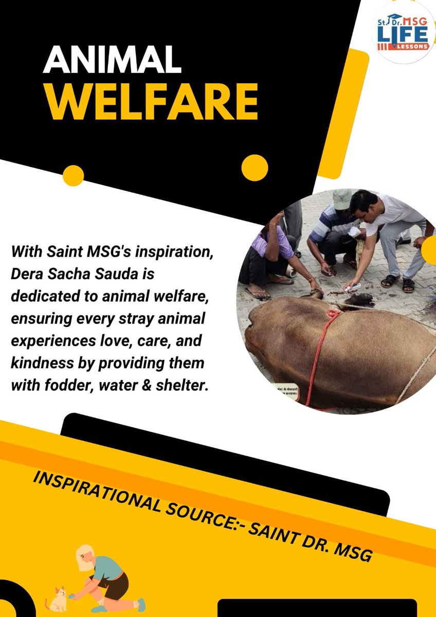 JiyaArora_777's tweet image. Innocent animals cannot express their sorrow by speaking. Human beings have to come forward to help them. With the Holy inspiration of Saint Gurmeet Ram Rahim Ji, the followers of Dera Sacha Sauda are taking care of the animals roaming on the streets.
#AnimalWelfare
