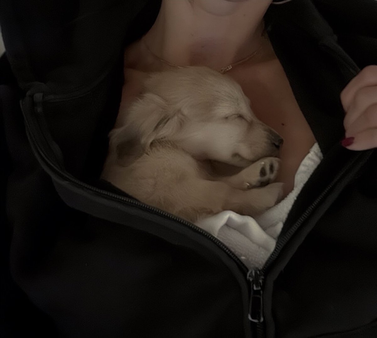 Daphne Claire V. Saint Mleux. tweet media