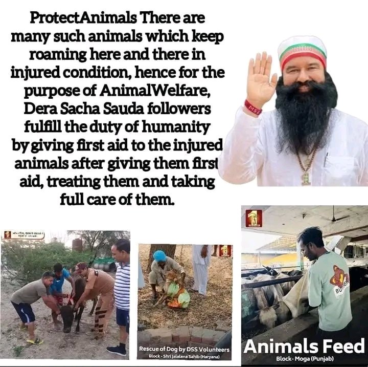 All the creatures found in the world are children of God. Under the #AnimalWelfare Campaign inspired by Saint Gurmeet Ram Rahim Ji, millions of followers of Dera Sacha Sauda arrange food, water and medical aid for abandoned animals roaming on the streets.