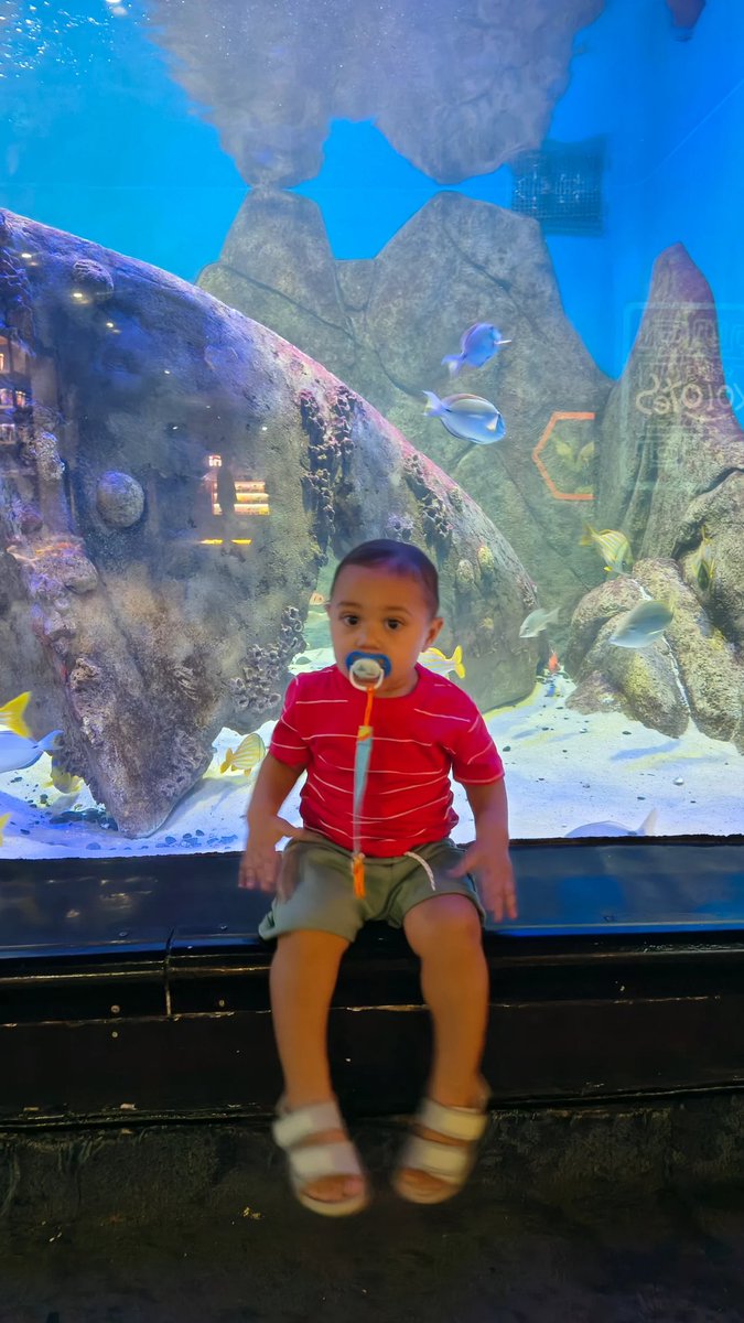 CaldeiraLua's tweet photo. meu dengo
#AguaRio https://t.co/WJZoo5gVA3