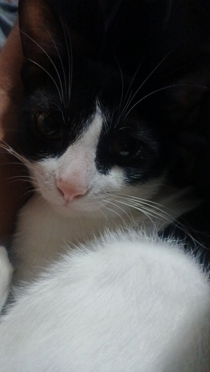 nati🧁🦕 tweet media