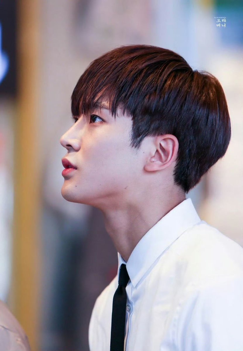 爱云云 tweet media