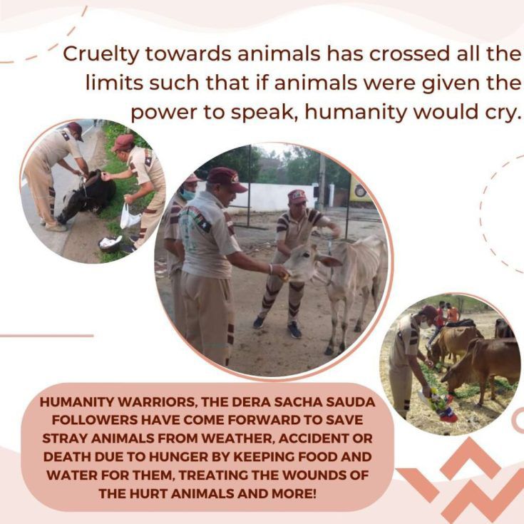 itzbabbu1371's tweet image. Showing kindness to animals makes life better for all. They also feel happiness and pain. Offer food, water, shelter, and night safety support. #AnimalWelfare Saint Gurmeet Ram Rahim Ji teaches love and care