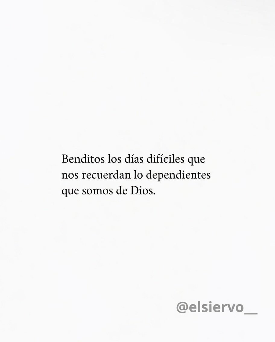 el Siervo tweet media