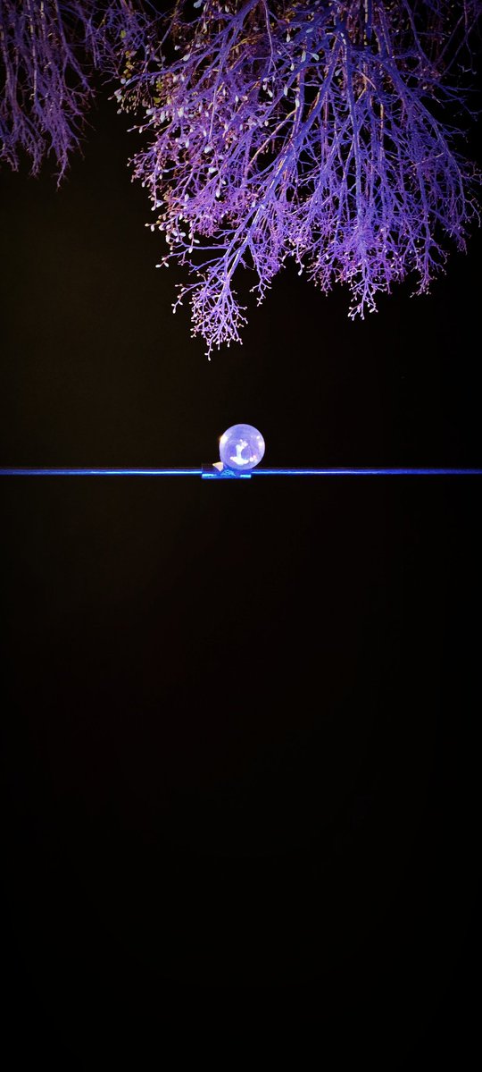 LIZZY💥 tweet media