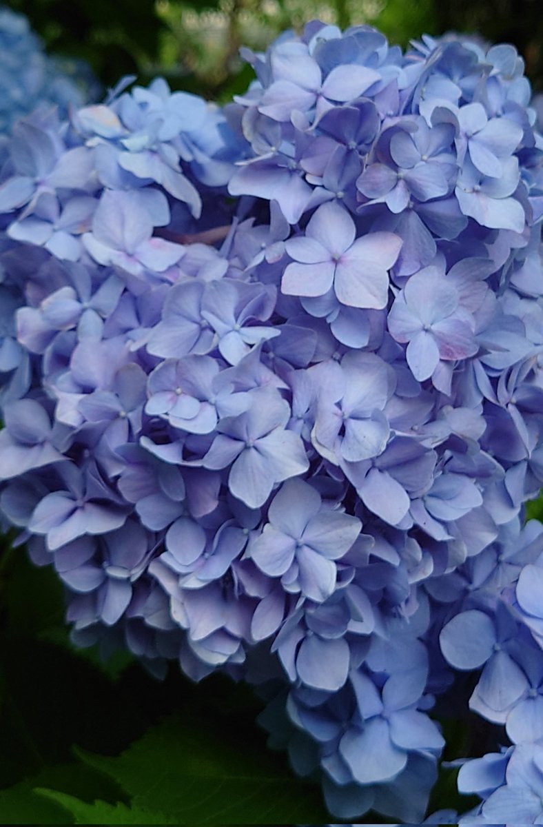 Emo-RAMUNE / えもらむね tweet media