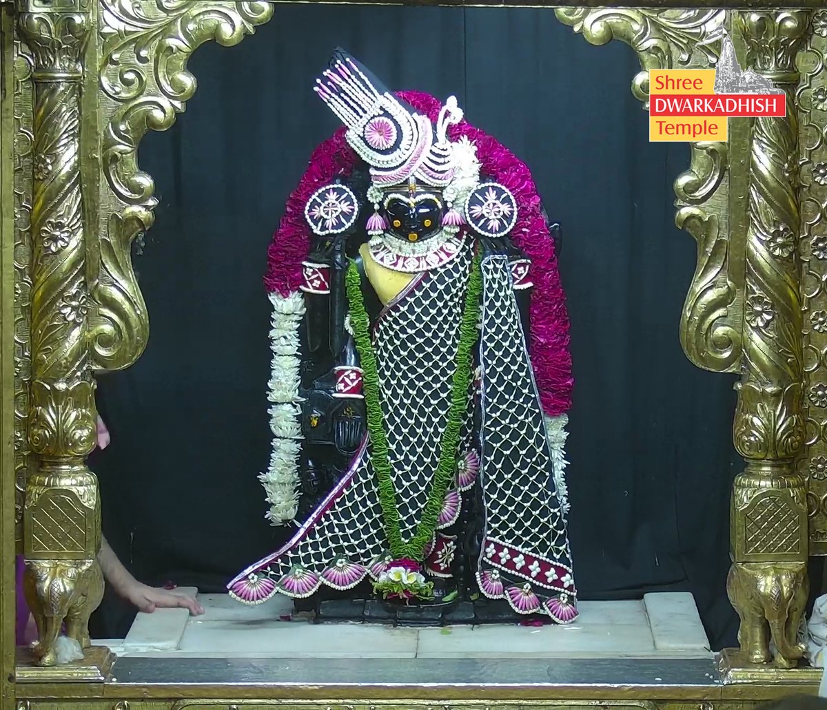 DwarkaOfficial's tweet image. राजाधिराज द्वारकाधीश जी के मङ्गला आरती दर्शन 🙏🏻
श्री द्वारकाधीश मंदिर द्वारका,गुजरात
दिनांक :- 27/04/2026 सोमवार                                        
                                             
#dwarka #manglaaarti
#ShridwarikadhishmandirOfficial