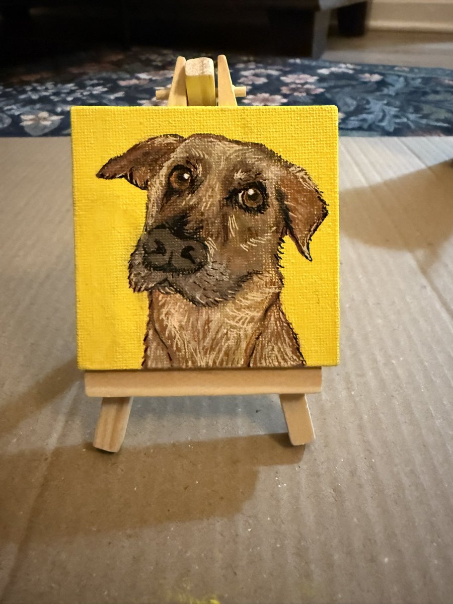 Briella Coley tweet media