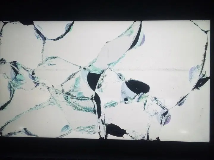 JonathanJamesK2's tweet image. Damn Mace you're  #COLD! THE FROZEN FURY! Stop trying! But your politician is showing soldier girl. "This is America. We settle our differences with ballots not bullets." 🐂💩 #COINTELLPRO. Let me ask you a question Mace, brat to nephew, does a lil' part of you die when you lie?