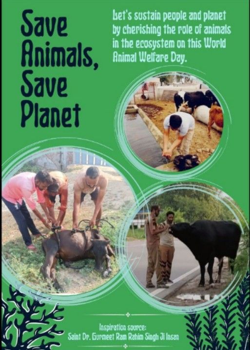 ..........✍️
बेजुबान आवारा जानवरों की मदद करने के लिए आगे आएं और उन्हें भोजन और आवश्यक चिकित्सा सहायता प्रदान करें

और बदले में उनकी दुआएँ प्राप्त करें और भगवान की रहमत के कृपापात्र बनें।

प्रेरणास्रोतः Saint Gurmeet Ram Rahim Ji' 
#AnimalWelfare