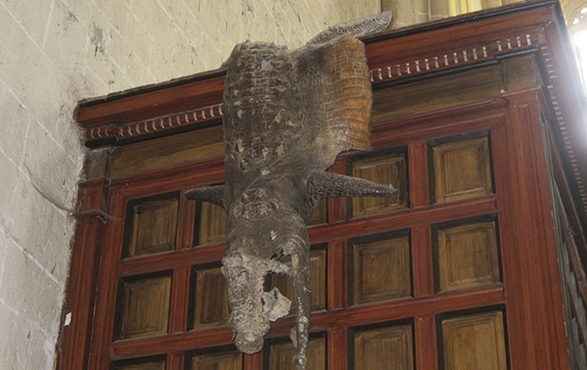 SarahBlick3's tweet photo. More taxidermied crocodile in medieval churches. As far as I can tell, they are all from continental Europe (Spain, Italy, France, etc.). All were considered to be dragons. https://t.co/mqVUSV0ISY