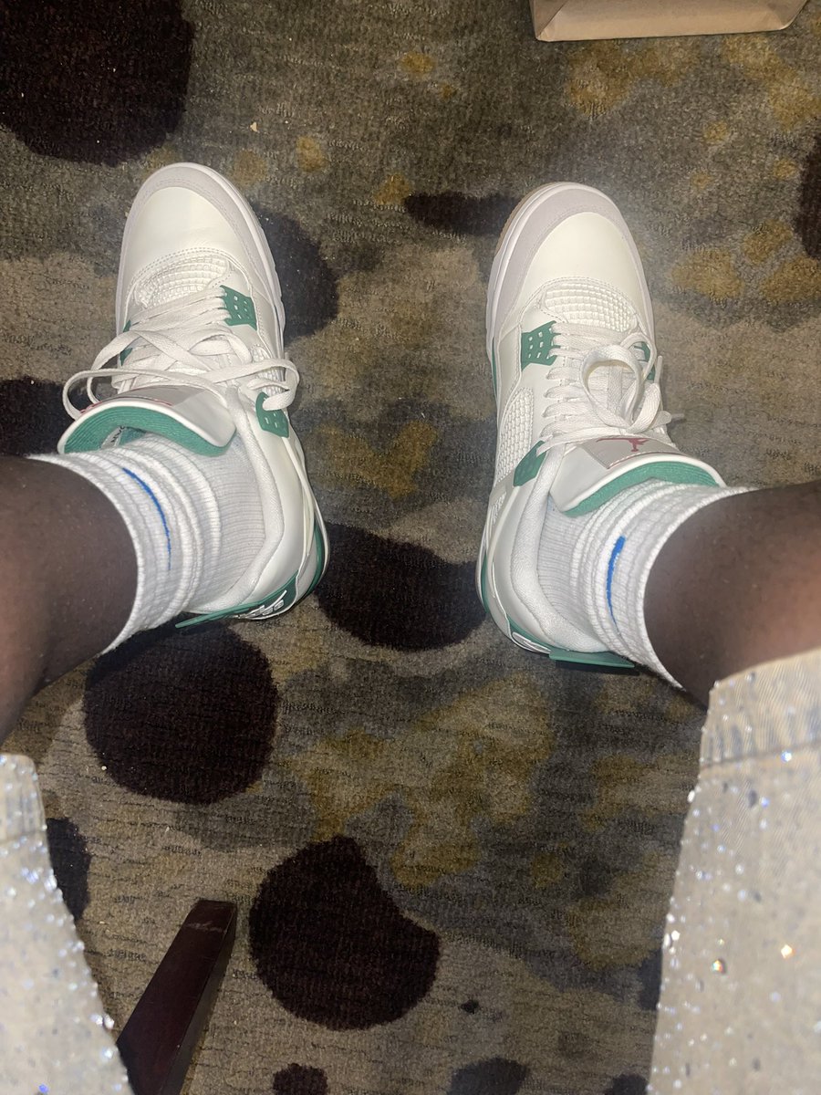 Ducci🌊🦍 tweet media