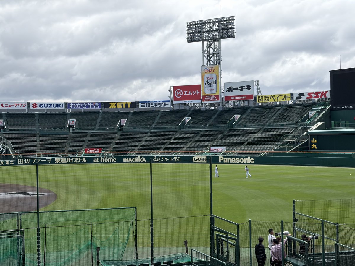 デイリー阪神担当×タイガース tweet media