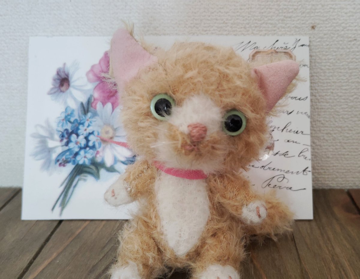 ちょっとおとぼけ顔の猫ちゃんが誕生しました🐱 しんちゃんみたいなお