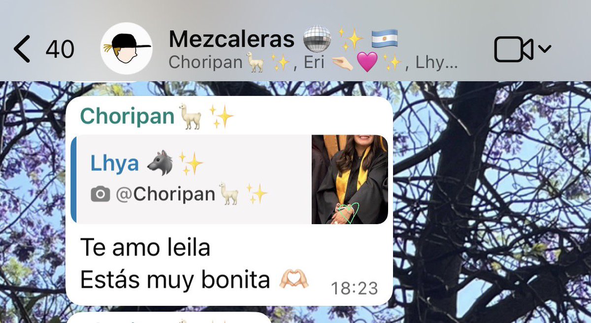 Leilanguis ✨ tweet media