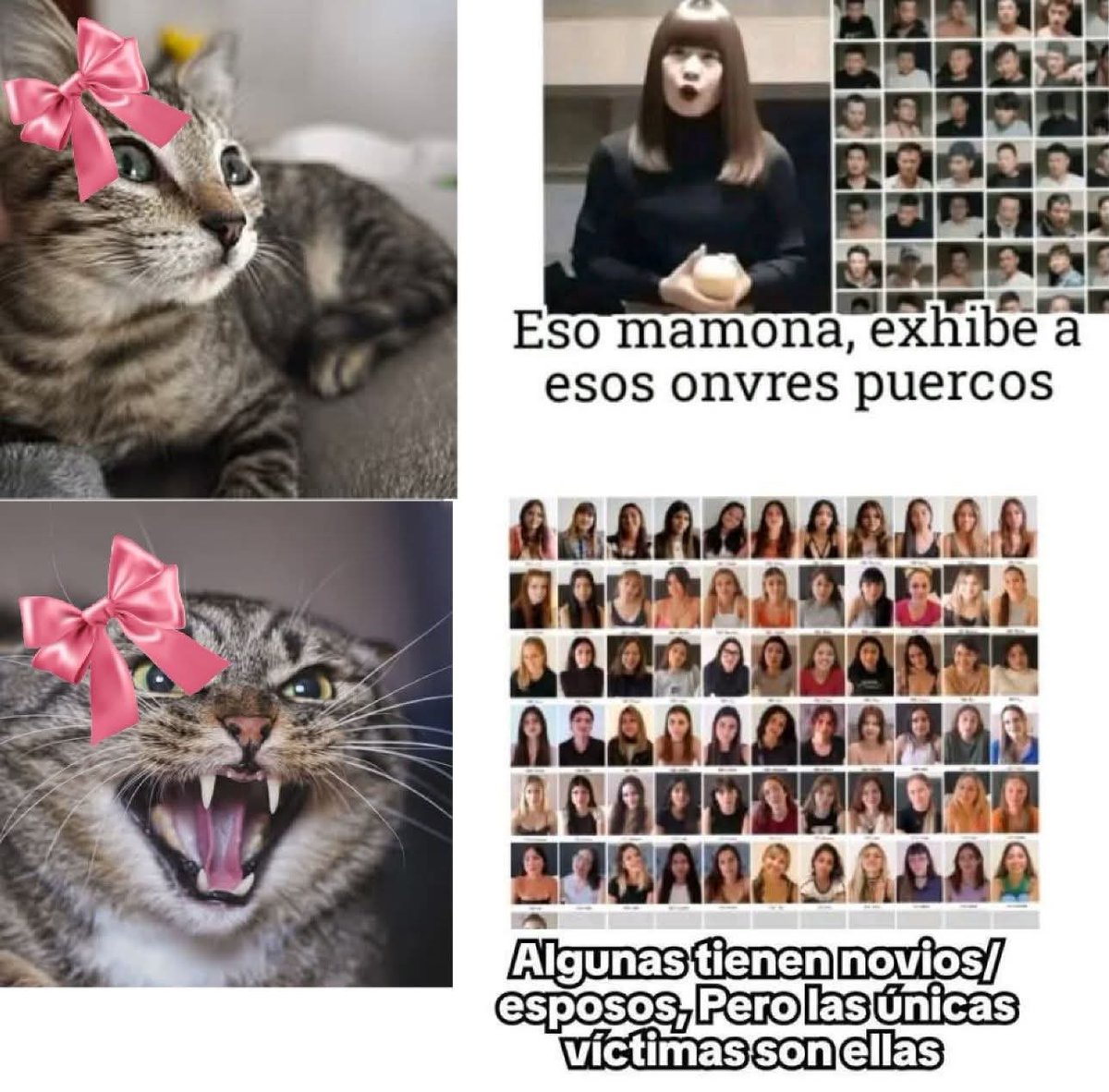 GeneralChrollo's tweet photo. Las mujeres estaban risa y risa con él caso de sister Hong, pero con los del casting argentina no dijeron ni media palabra https://t.co/ADqMdefiGG