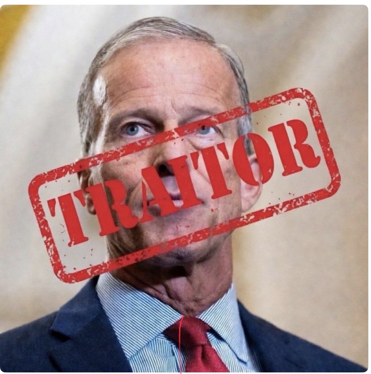 BellaAmore_USA's tweet photo. @jjauthor @nattylew7 @LeaderJohnThune https://t.co/gypS41d2oS