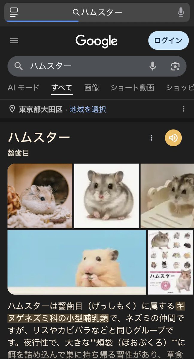 ハム吉 tweet media