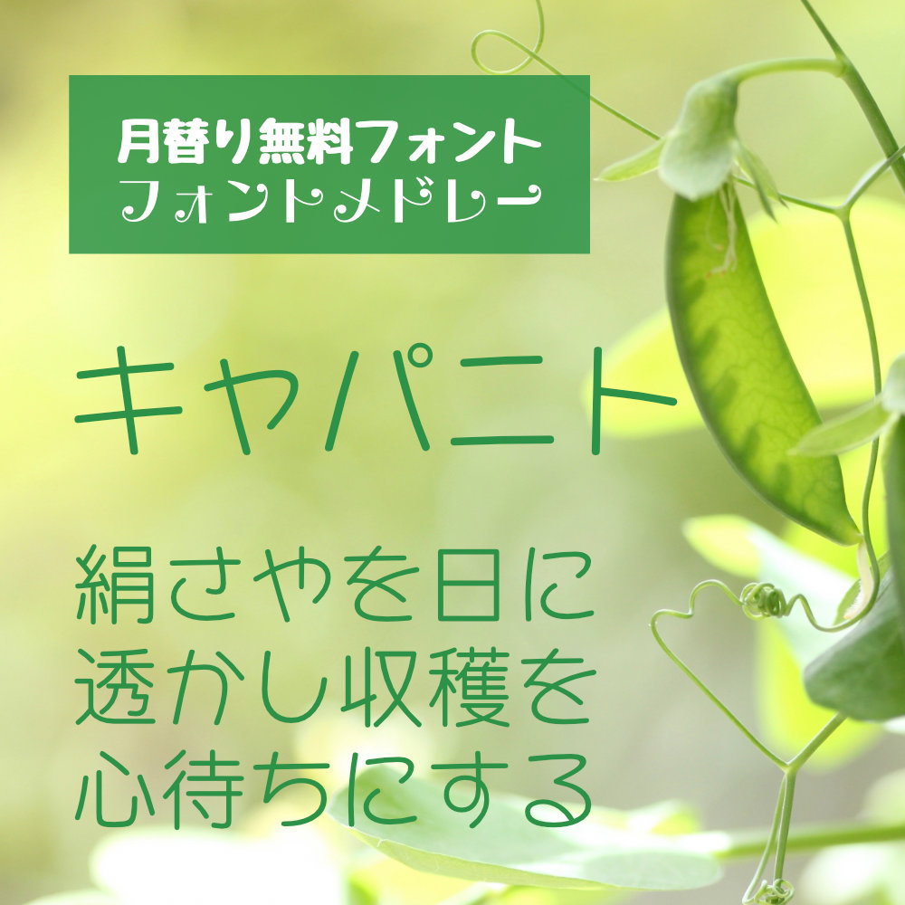font_stream's tweet photo. 月替わり無料ウェブフォント #フォントメドレー
5月のフォントは #キャパニト-L
可読性が高く、のびのびとした明るい線質のゴシック体です。
https://t.co/FkM3w5z0N6
提供元：#佐藤豊
#FontStream #フォントストリーム #ウェブフォント #書体 #文字 https://t.co/9GwxsUUoBQ