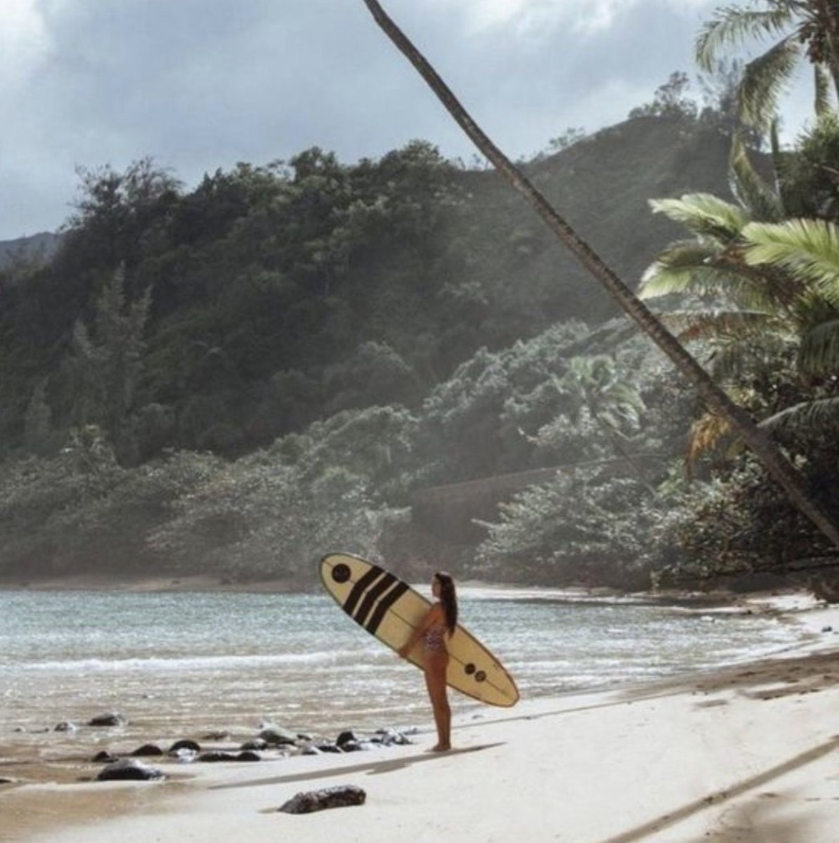 Stunna ⛧ tweet media