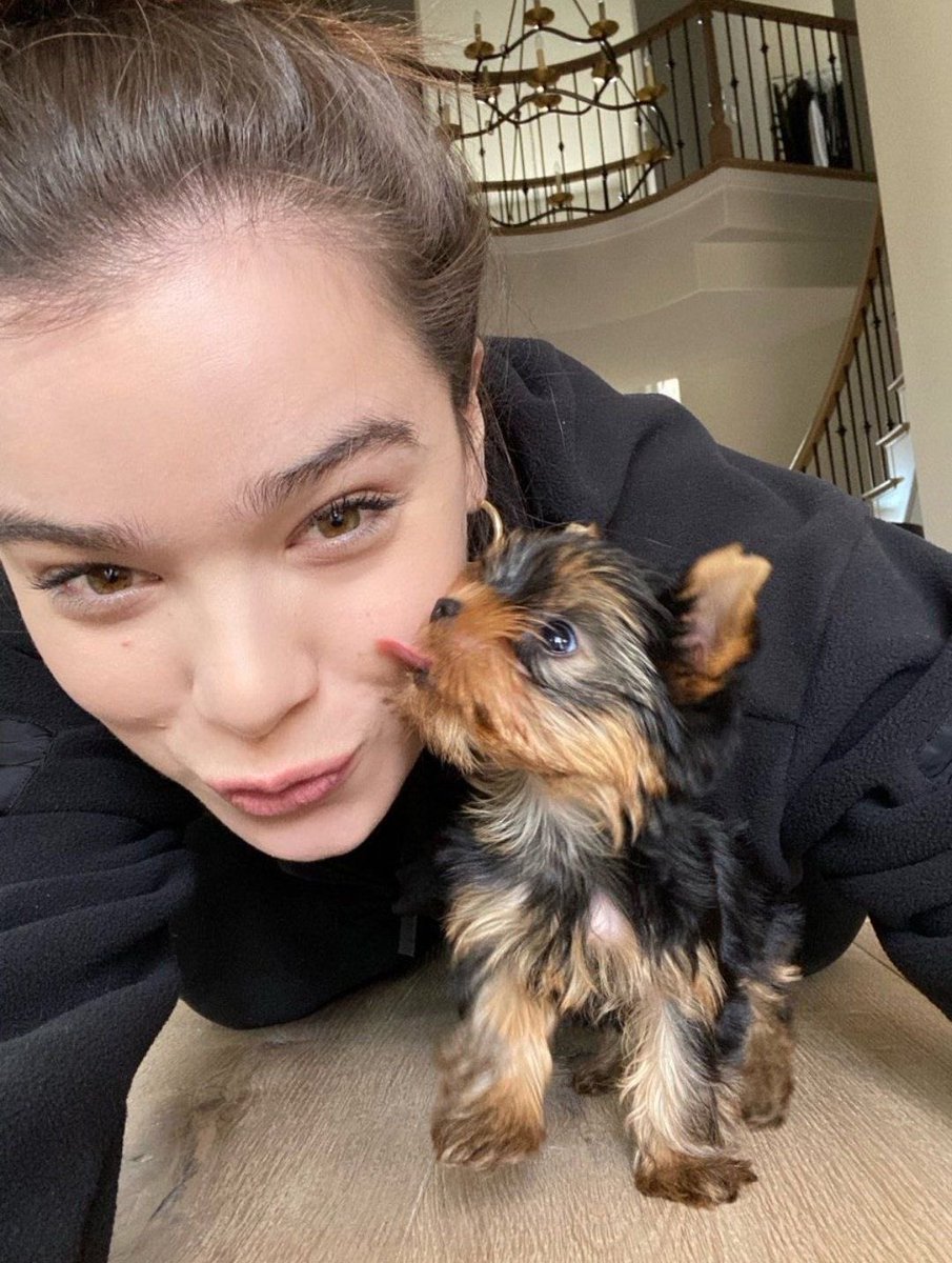 haileesfv2's tweet image. No doubts I would defend her like that
#hailee #haileeSteinfeld #fyp