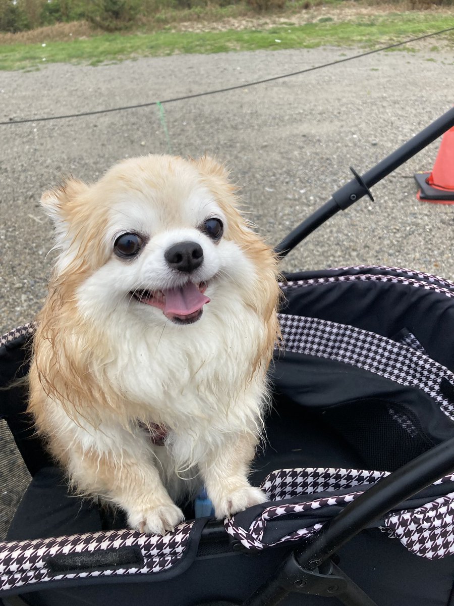 明け方の君 tweet media