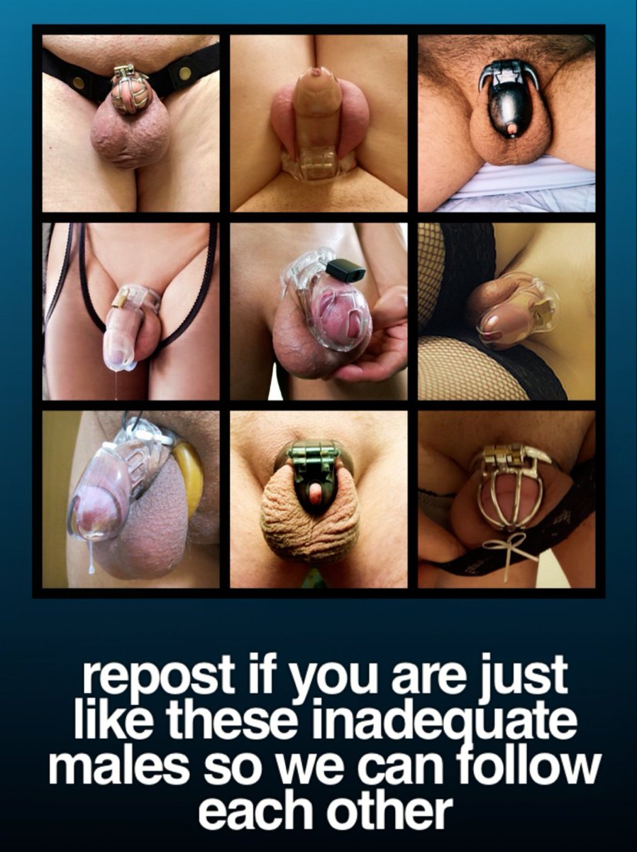 PlanetDomination tweet media