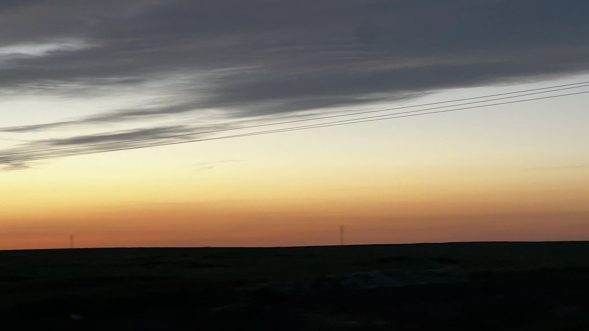 Feride Rapo tweet media