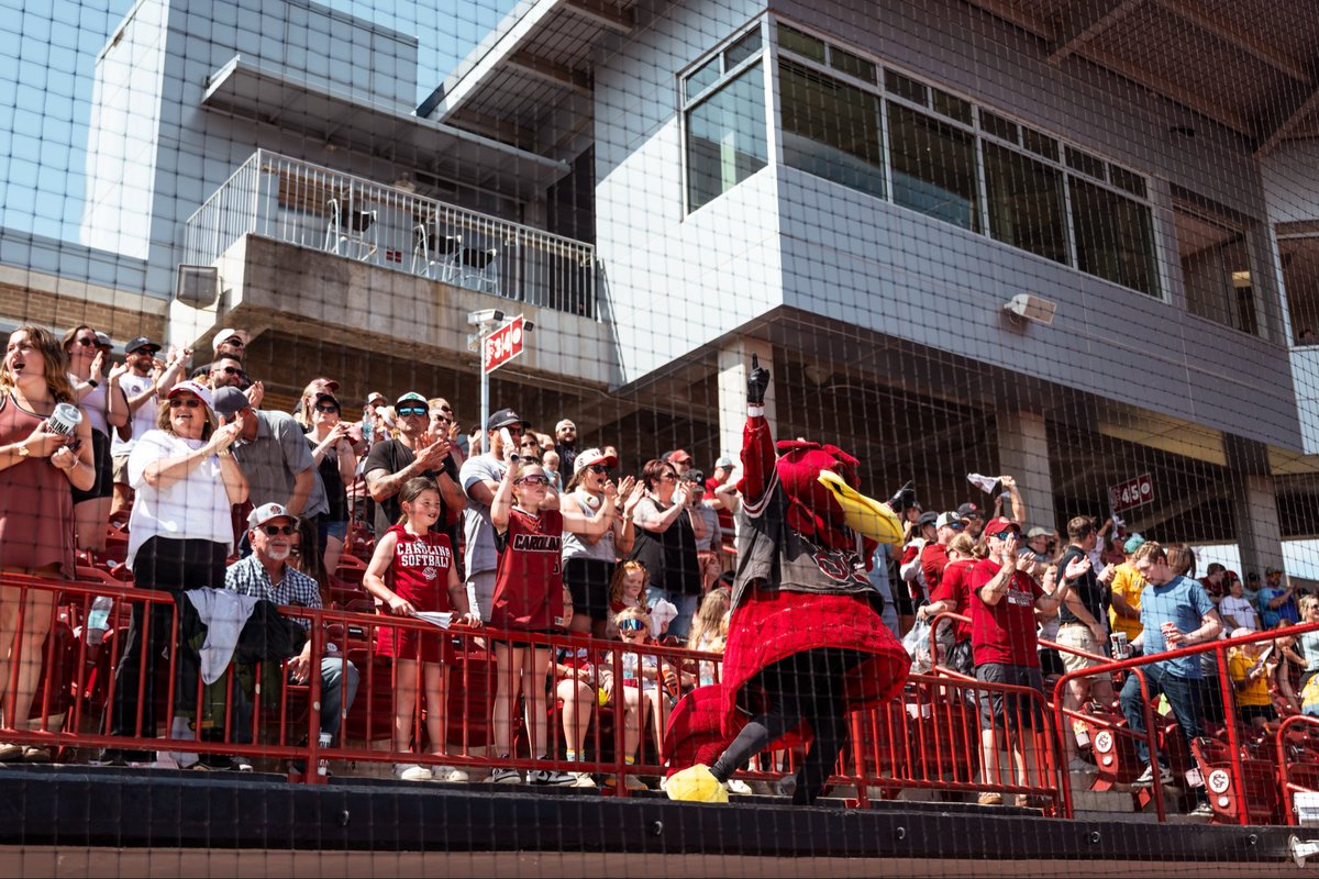 South Carolina Softball tweet media