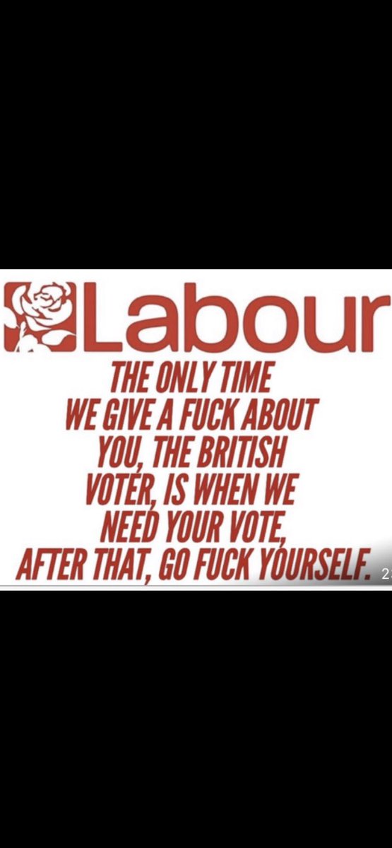 Bendy Bob tweet media