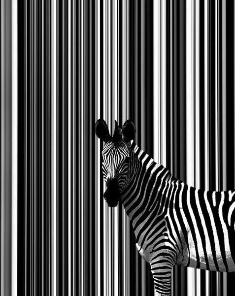 Gianni® tweet media