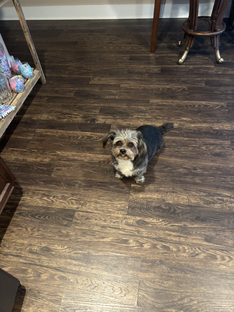 Sweet Dabo went to the nursing home with us this weekend and visited with my mother in law… The joy he brought to the others there just warmed my heart 🧡💜