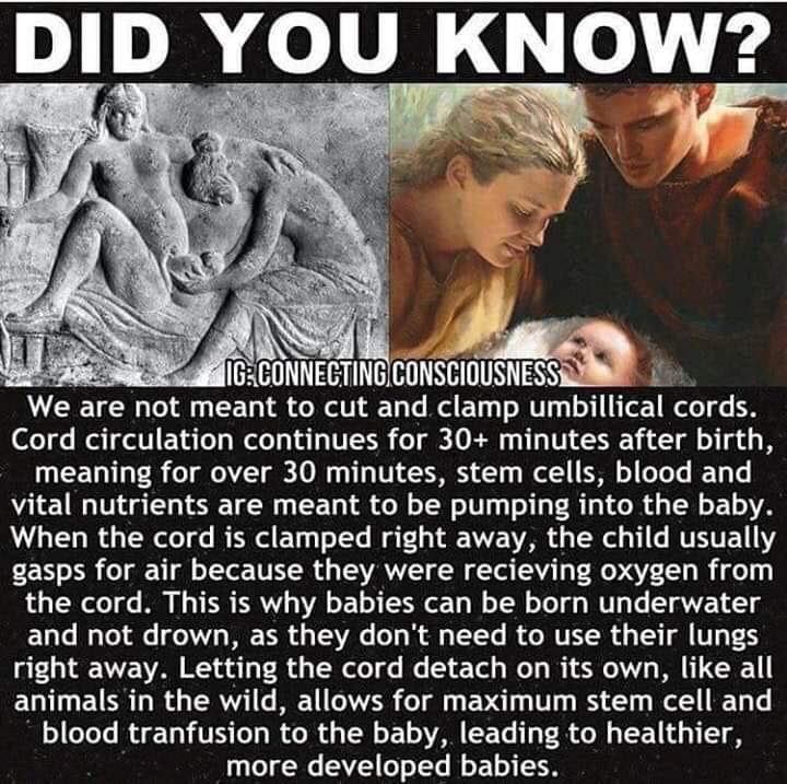 Brock Riddick tweet media